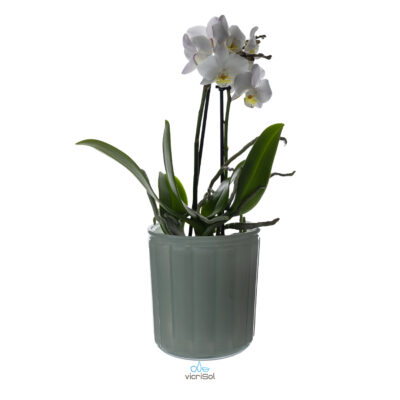 Maceta CÓRDOBA 12,5 cm- Verde Pastel