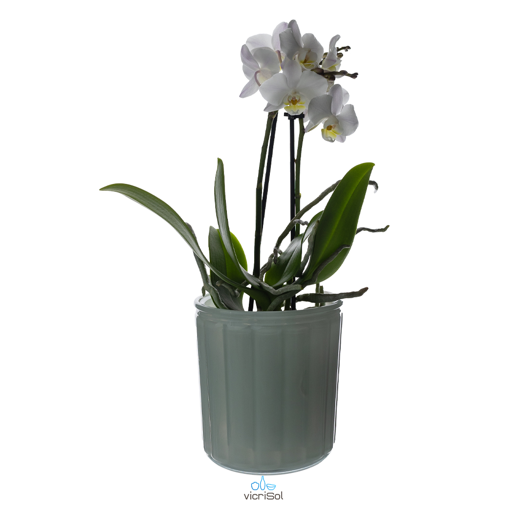 Maceta CÓRDOBA 12,5 cm- Verde Pastel