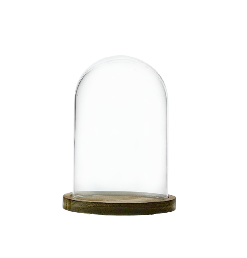 CÚPULA 12x8 cm- Base Madera