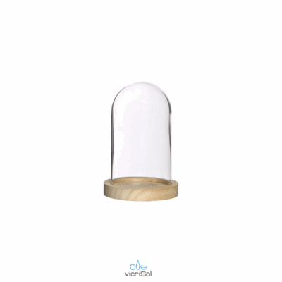 CUPULA 15x10 cm- Base Madera