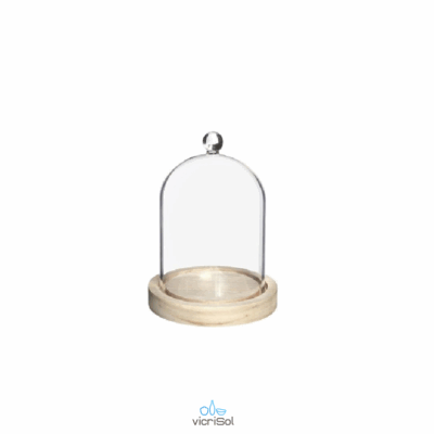 CUPULA C.POMO 15x10 cm- Base Madera