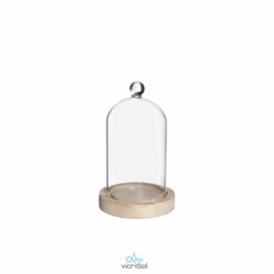 CUPULA C.POMO 18x10 cm- Base Madera
