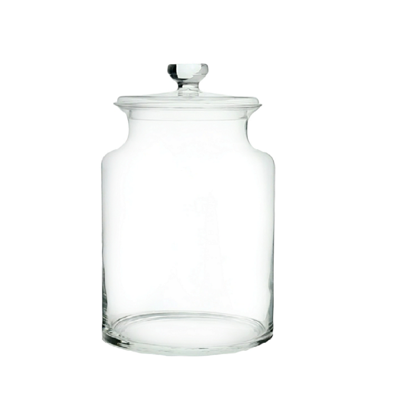 Florero Terrario MERY 25 cm- Tapa vidrio