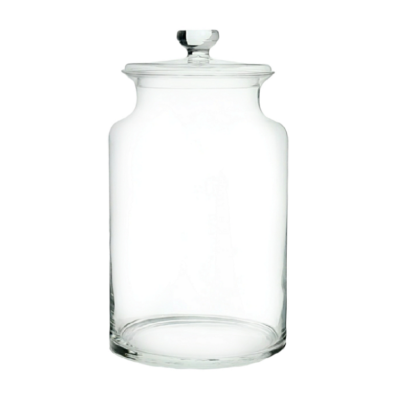 Florero Terrario MERY 30 cm- Tapa vidrio