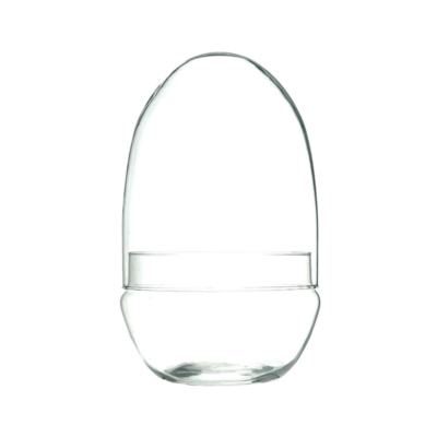 TERRARIO CAPSULA 20x13 CM