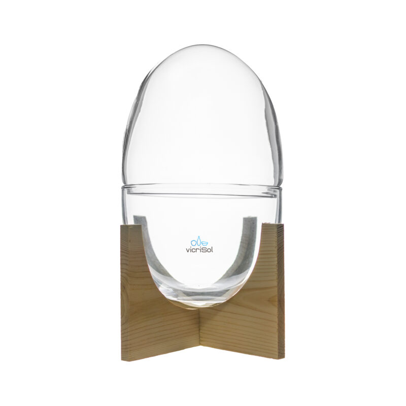 TERRARIO CAPSULA 23x15-SOPORTE MADERA NATURAL
