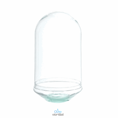 TERRARIO CÚPULA 35x20-BASE CONICA