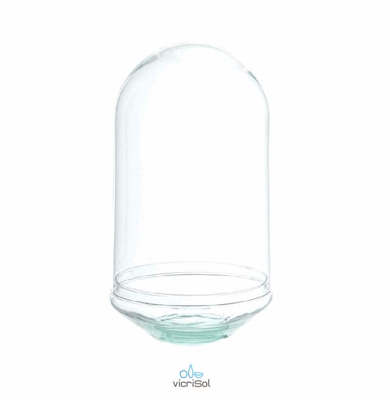 TERRARIO CÚPULA 35x20-BASE CONICA