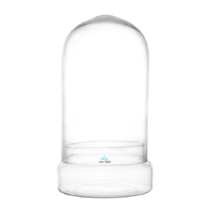 Terrario Cúpula 37x20 cm- Base plana