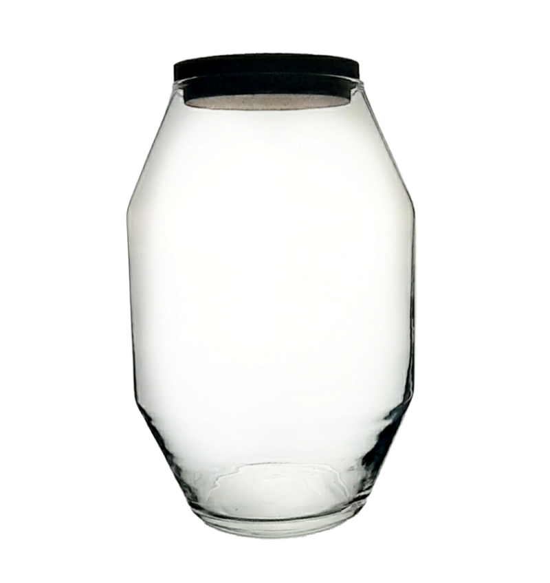 Terrario Florero Creta 25 cm- Tapa Corcho - Imagen 3
