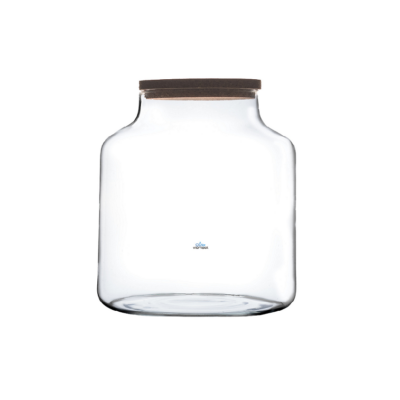 Terrario Florero Speedy 20 cm- Tapa de Corcho