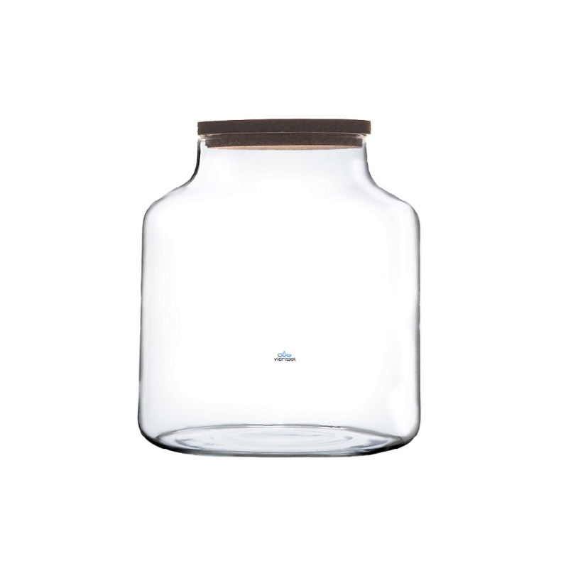 Terrario Florero Speedy 20 cm- Tapa de Corcho