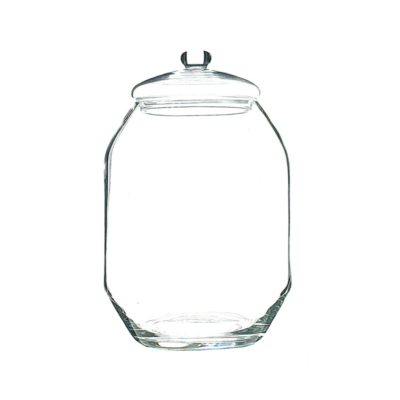 Terrario NIKKO 25 cm- tapa vidrio