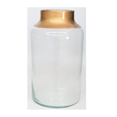 Terrario Speedy 30 cm- Borde Dorado