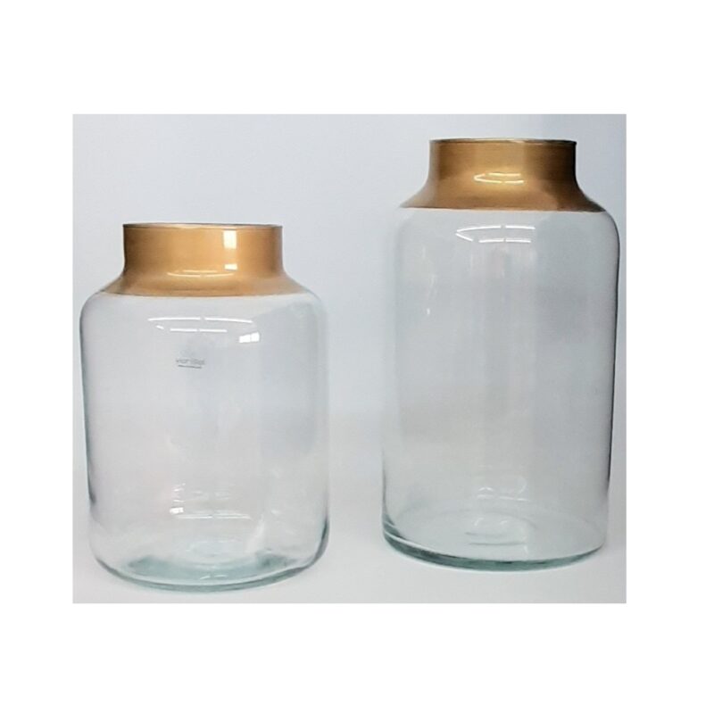 Terrario Speedy 25 cm- Borde Dorado - Imagen 3